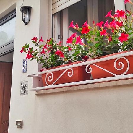 Casa Poseidonia Hotell Capri Eksteriør bilde